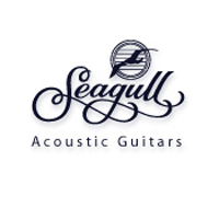 SEAGULL