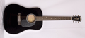 Voir la fiche BLUERIDGE BR60BK