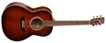 Voir la fiche ART ET LUTHERIE FOLKCEDANB