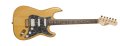 Voir la fiche STORM ASH350NAT/BAG