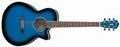 Voir la fiche IBANEZ AEG10ETBS