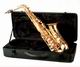 FRIEDRICH MULLER SAXO ALTO AL301 FRIEDRICH-MULLER FRIEDRICH MULLER SAXO ALTO AL301 FRIEDRICH-MULLER