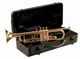 FRIEDRICH MULLER TROMPETTE SIb TR330 FRIEDRICH-MULLER FRIEDRICH MULLER TROMPETTE SIb TR330 FRIEDRICH-MULLER