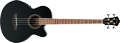 Voir la fiche IBANEZ AEB 8E BK