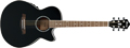 Voir la fiche IBANEZ AEG10E-BK 