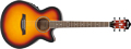 Voir la fiche IBANEZ AEG10E-VS 