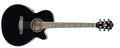 Voir la fiche IBANEZ AEG8E-BK 