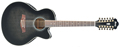 Voir la fiche IBANEZ AEL2012ETKS