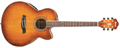 Voir la fiche IBANEZ AEL 20 EVV