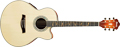 Voir la fiche IBANEZ AEL40SERLV