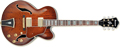 Voir la fiche IBANEZ AF 95 VLS