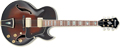 Voir la fiche IBANEZ AK 95 DVS