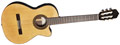 Voir la fiche ALTAMIRA N300CT 