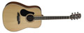 Voir la fiche ALVAREZ AD60L 