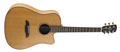Voir la fiche ALVAREZ MD65CE