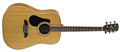 Voir la fiche ALVAREZ RD16L 
