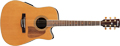 Voir la fiche IBANEZ AW85ECERLG