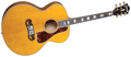 Voir la fiche BLUERIDGE BG2500