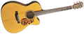 Voir la fiche BLUERIDGE BR143CE