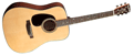 Voir la fiche BLUERIDGE BR40CELH