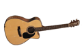 Voir la fiche BLUERIDGE BR43CE