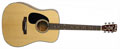 Voir la fiche BLUERIDGE BR40LH