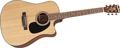 Voir la fiche BLUERIDGE BR40CE