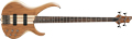 Voir la fiche IBANEZ BTB670NTF