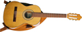 Voir la fiche CAMPS SONATA 58 SAT 