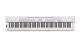 Voir la fiche CASIO PX350WE 
