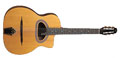 Voir la fiche GITANE CIGANO GJ5