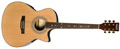 Voir la fiche DALLAS F740CEQNAT 