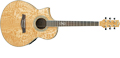 Voir la fiche IBANEZ EW20LASE-NT 