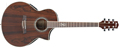 Voir la fiche IBANEZ EW20WNENT