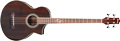 Voir la fiche IBANEZ EWB20WNENT