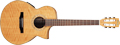 Voir la fiche IBANEZ EWN30SYE-NT