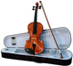Voir la fiche FRIEDRICH MULLER VIOLON MV 1/4