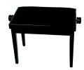 Voir la fiche MUSIC LEADER FS 202 BK
