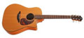 Voir la fiche FURCH D20CM CUT ELEC