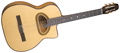 Voir la fiche GITANE DG560