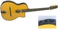 Voir la fiche GITANE DG455 