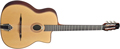 Voir la fiche GITANE DG340