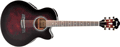 Voir la fiche IBANEZ AEL20E-TCS 
