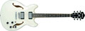 Voir la fiche IBANEZ AS 73 IV