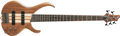 Voir la fiche IBANEZ BTB675-NTF