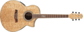 Voir la fiche IBANEZ EW20ASE-NT 