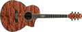 Voir la fiche IBANEZ EW20BGE-NT 