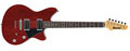 Voir la fiche IBANEZ RC320-TCR 