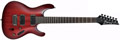 Voir la fiche IBANEZ S421-BBS 