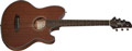 Voir la fiche IBANEZ TCY74-OPN 